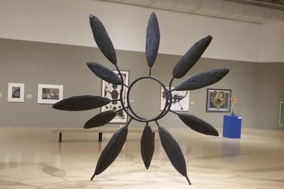 El Paso Museum of Art