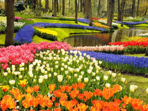 Keukenhof Gardens