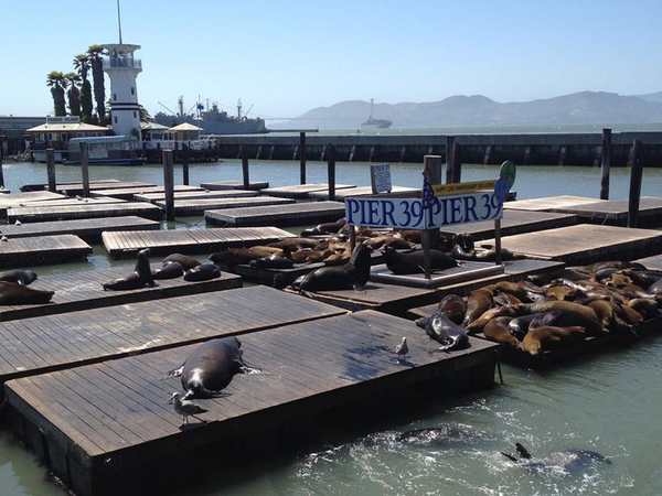 San Francisco Cruise Port
