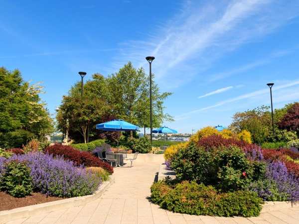 Hudson River Park