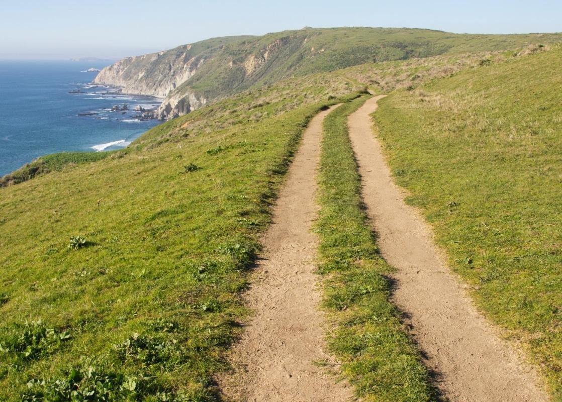 Tomales Point