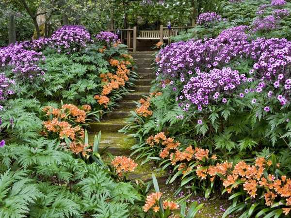 Santa Barbara Botanic Garden (SBBG)