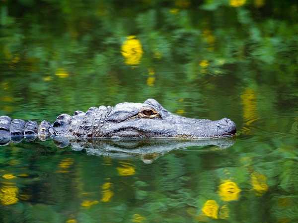 Everglades National Park