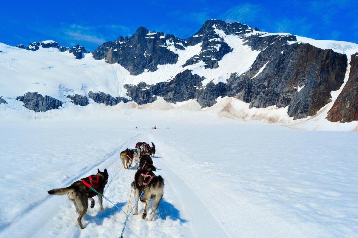 Iditarod Trail