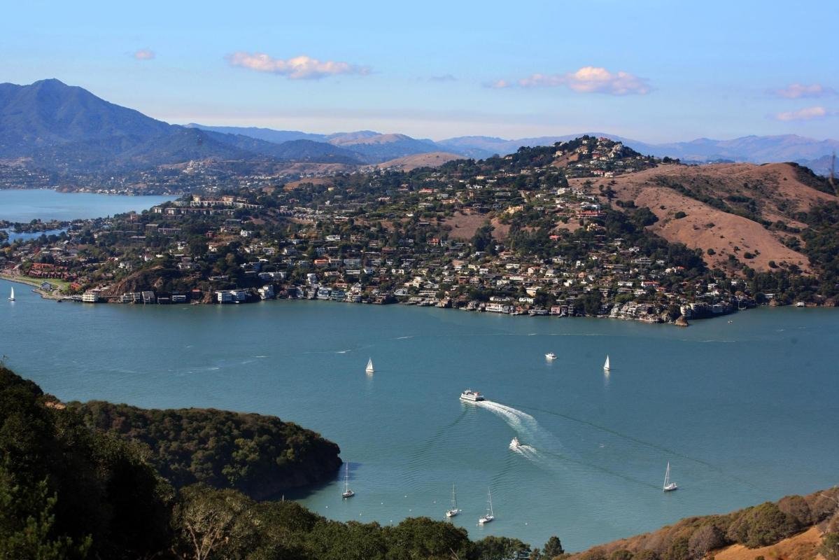 Tiburon