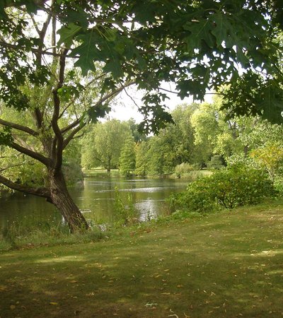 Buckingham Palace Garden in London, England