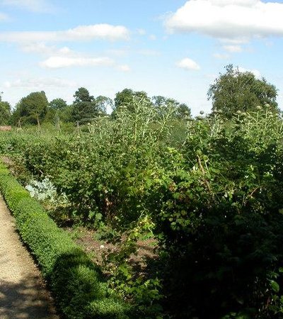 Down House Garden in London, England