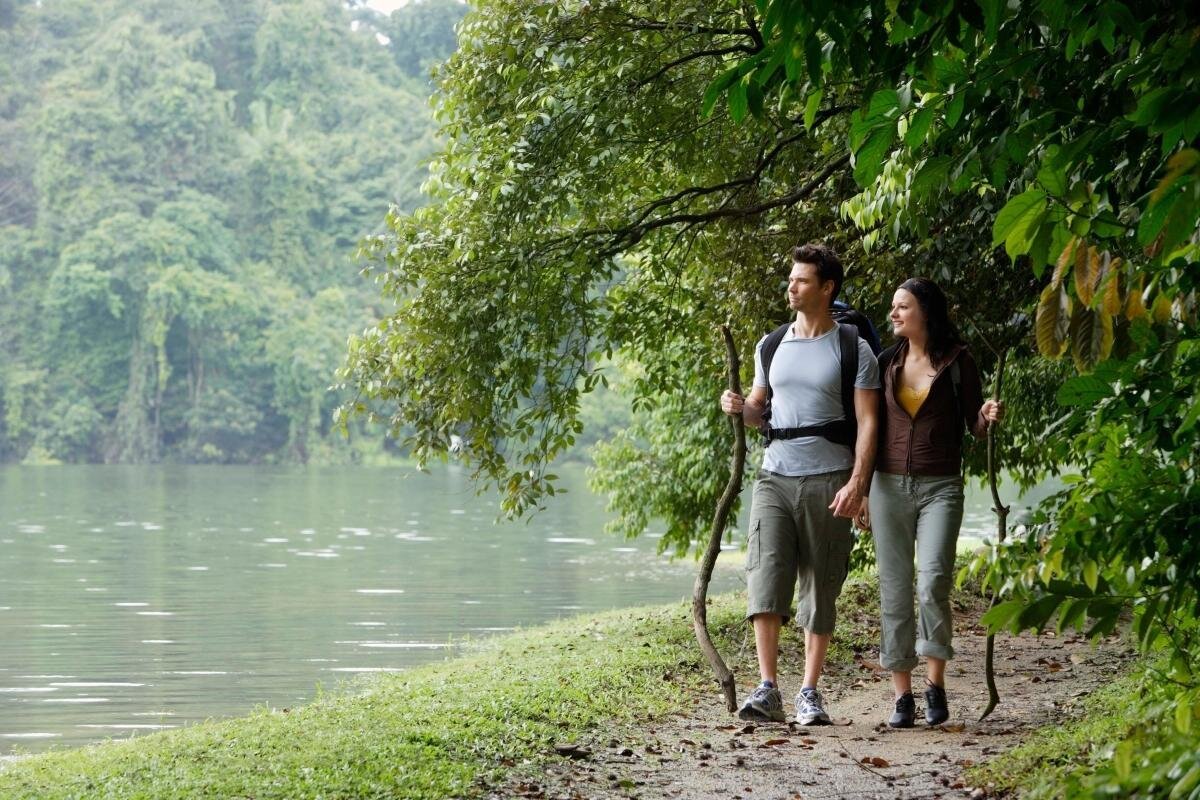 Bukit Timah Nature Reserve