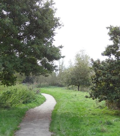Hornchurch Country Park in London, England