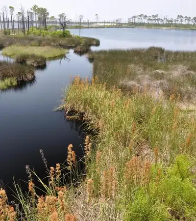 Gulf Shores in Alabama, United States