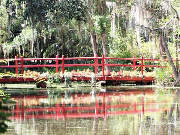 Magnolia Plantation and Gardens