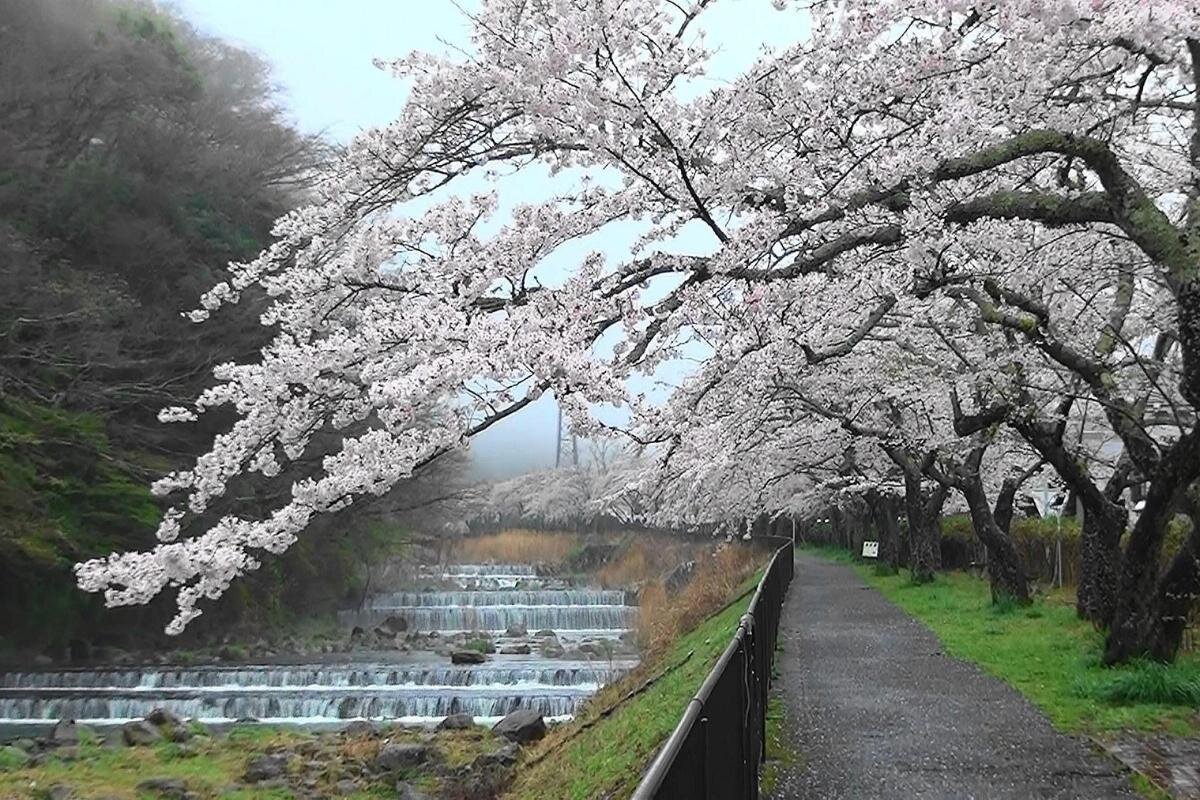 Fuji-Hakone-Izu National Park