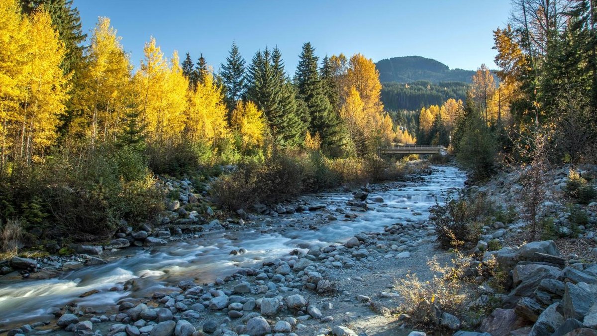 Fitzsimmons Creek
