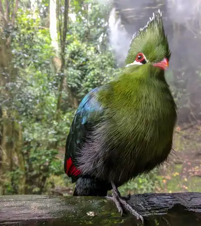 Plettenberg Bay in Western Cape, South Africa