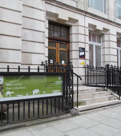 Grant Museum of Zoology in London, England