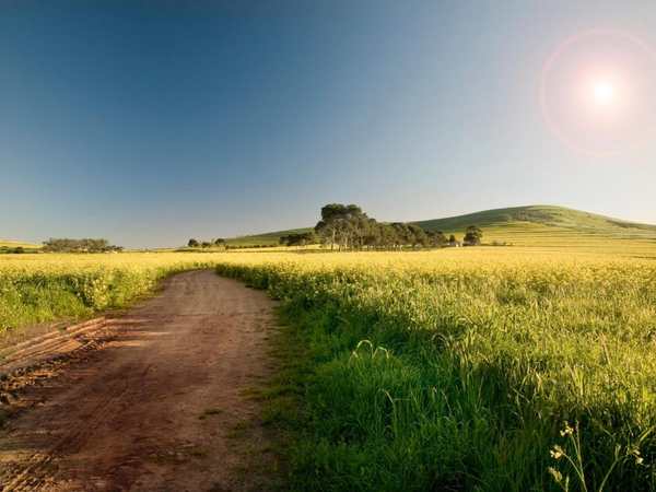 Swartland Wine Route