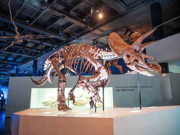 Houston Museum of Natural Science