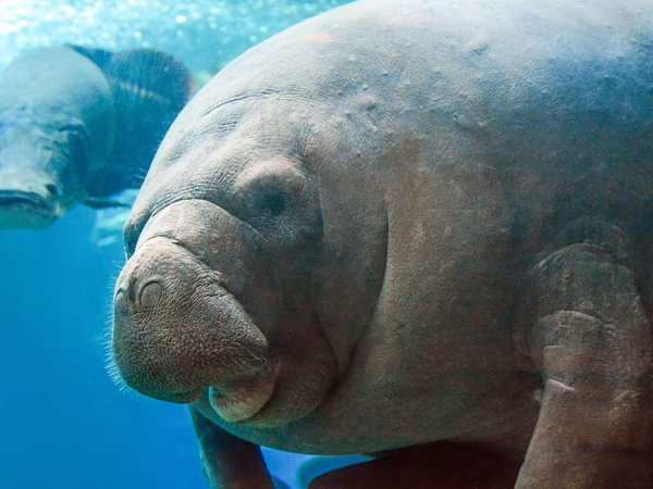 Dallas World Aquarium