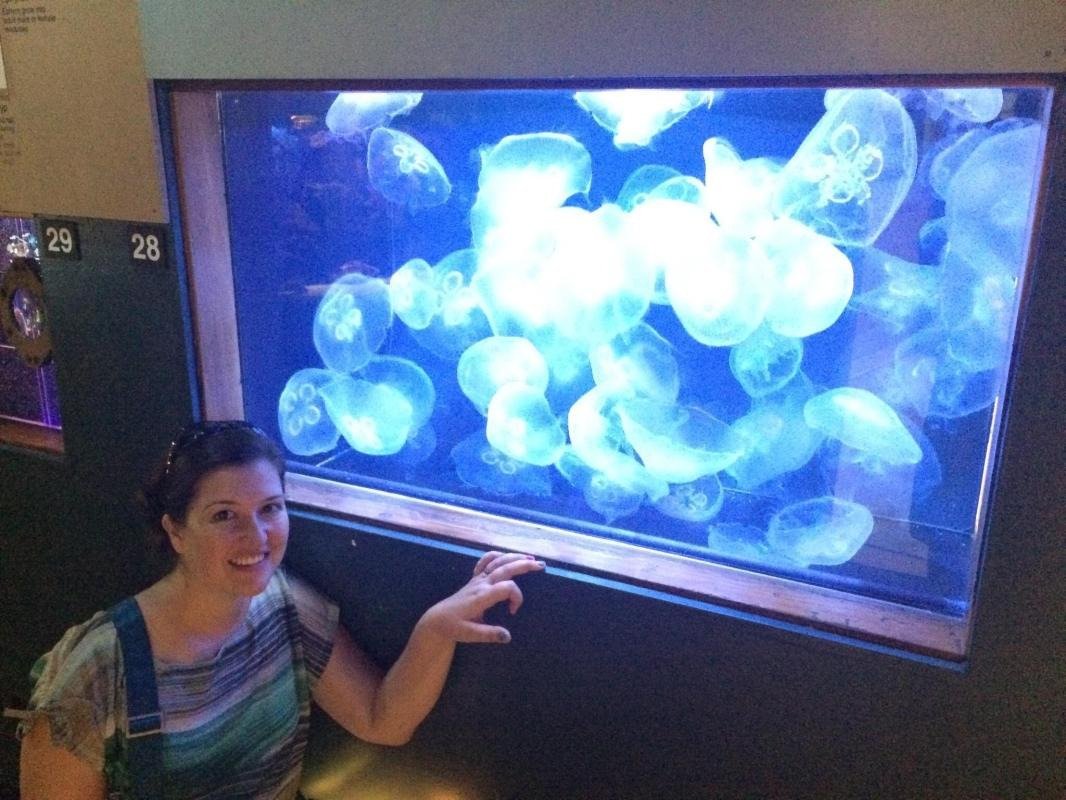 Cabrillo Marine Aquarium