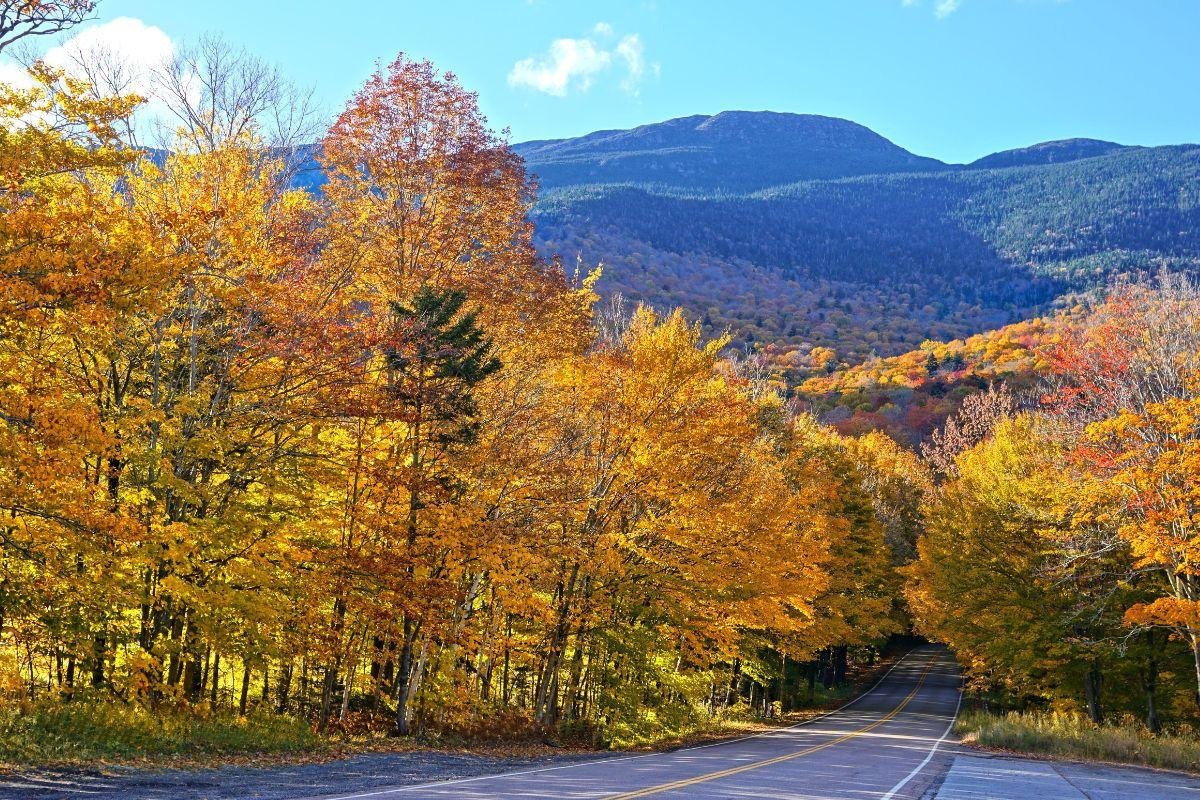 Smugglers' Notch State Park Campground