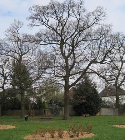 Princes Park in London, England