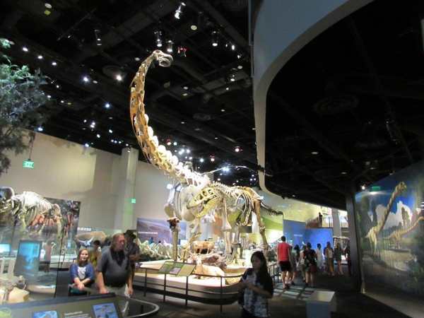 Perot Museum of Nature and Science