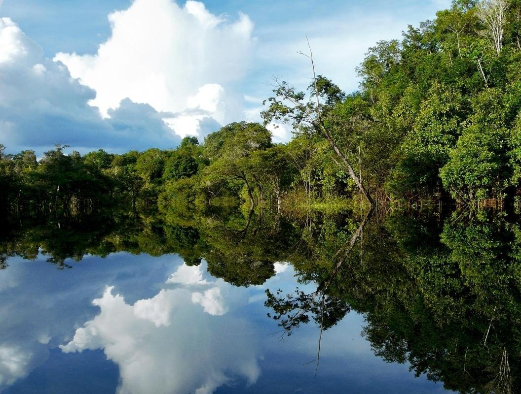 Sucuri River Bonito Ecotourism