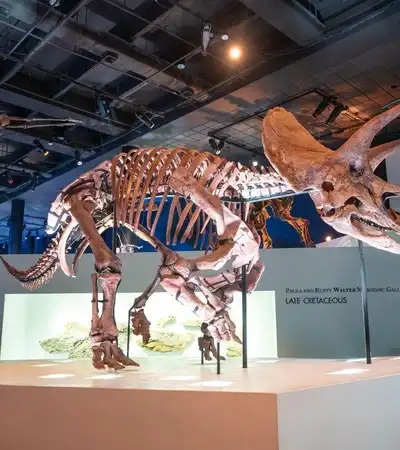 Houston in Texas, United States