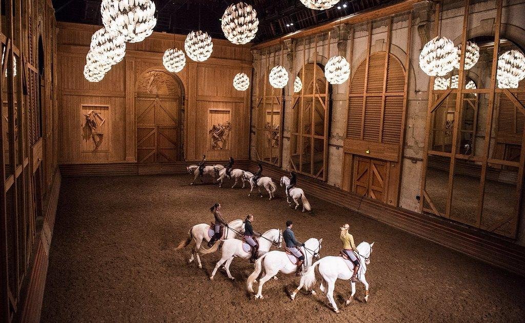 Academy of Equestrian Arts