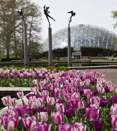 St. Louis in Missouri, United States