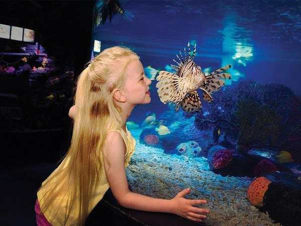 SEA LIFE® San Diego Aquarium