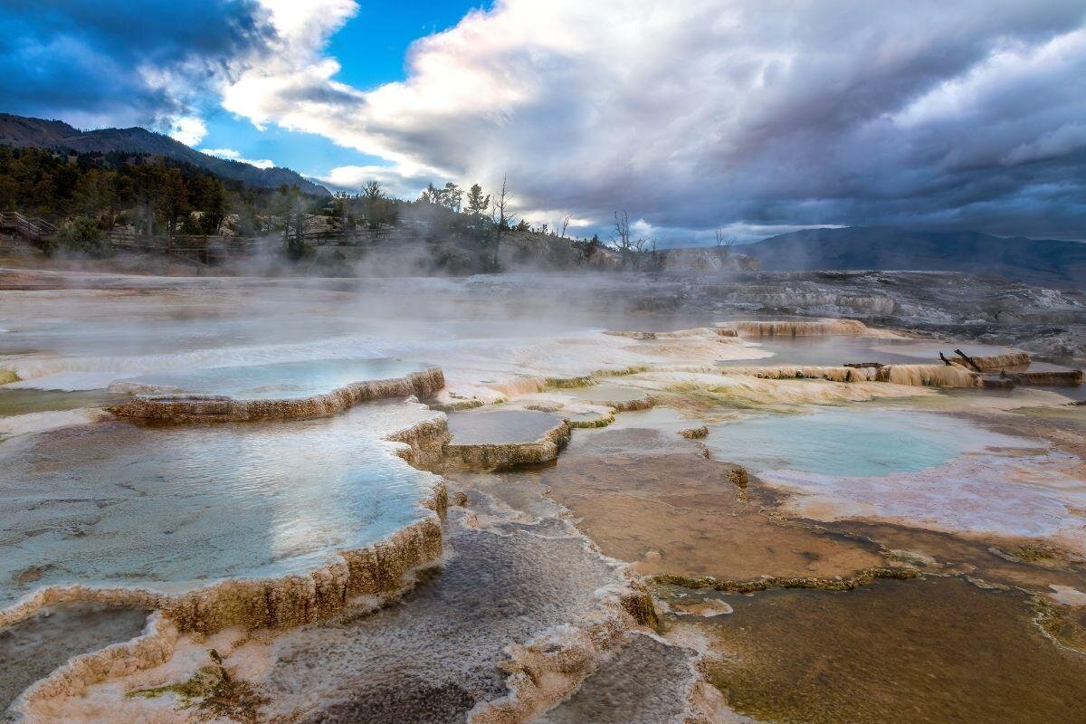 Mammoth Hot Springs
