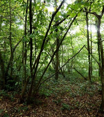 Beaulieu Heights in London, England