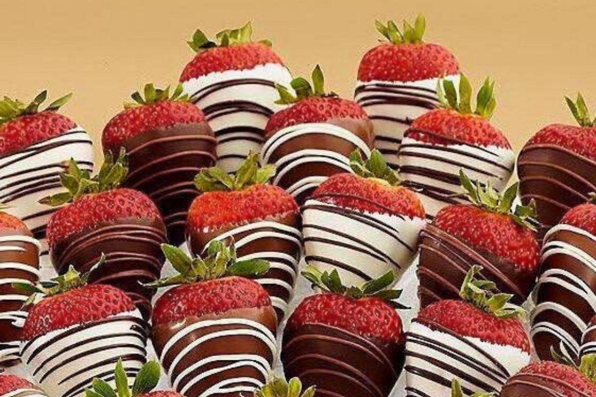 Angell & Phelps Chocolate Factory