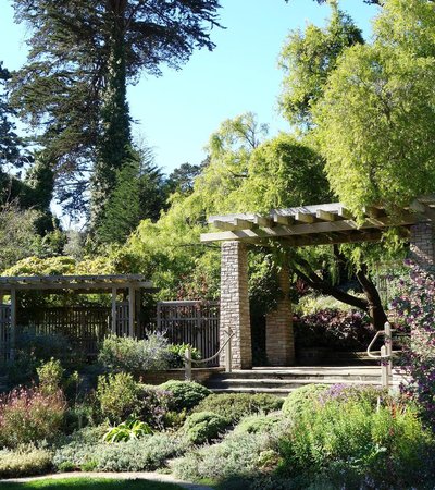 San Francisco Botanical Garden in San Francisco, California