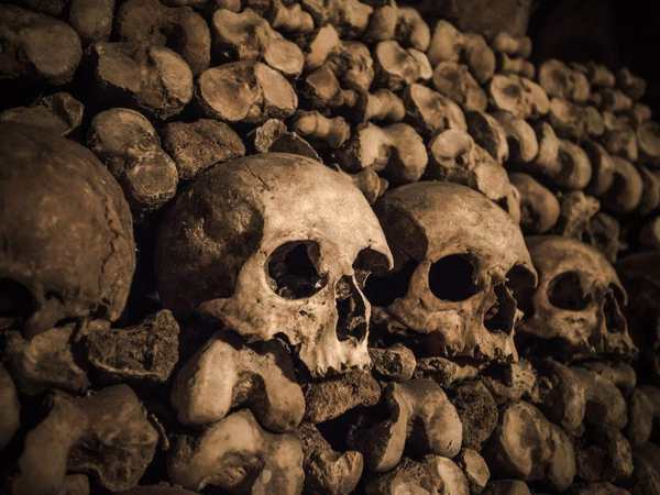 Paris Catacombs (Catacombes de Paris)