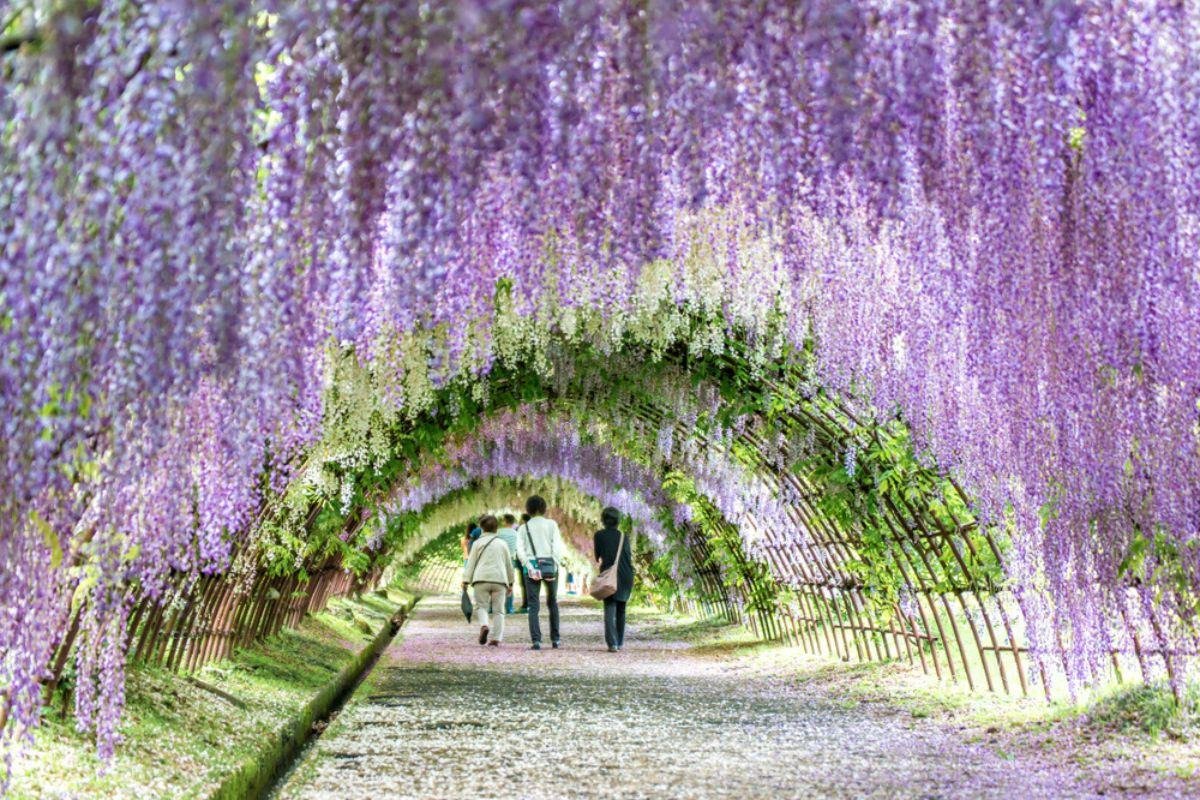 Kawachi Fujien