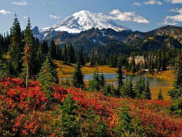 Mt. Rainier National Park