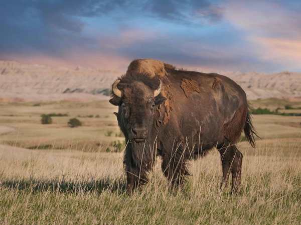 Badlands National Park