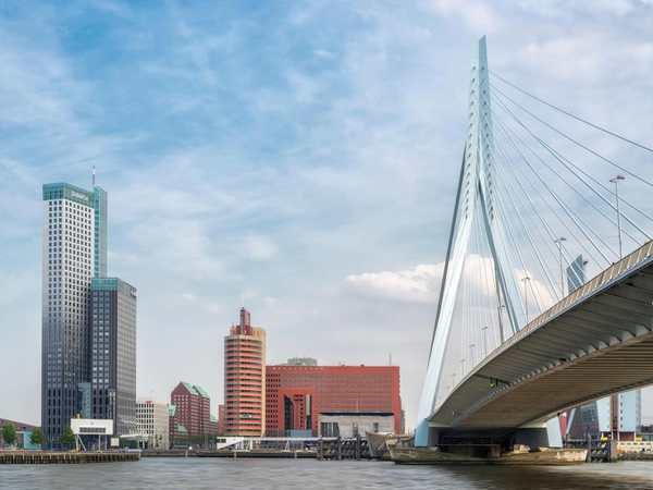 Erasmusbrug (Erasmus Bridge)
