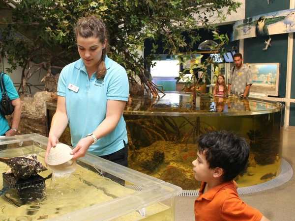 Rookery Bay National Estuarine Research Reserve