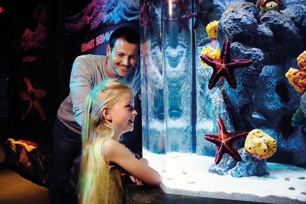 SEA LIFE® Aquarium Arizona