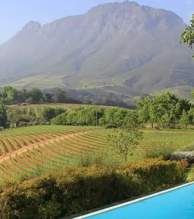 Stellenbosch in Western Cape, South Africa