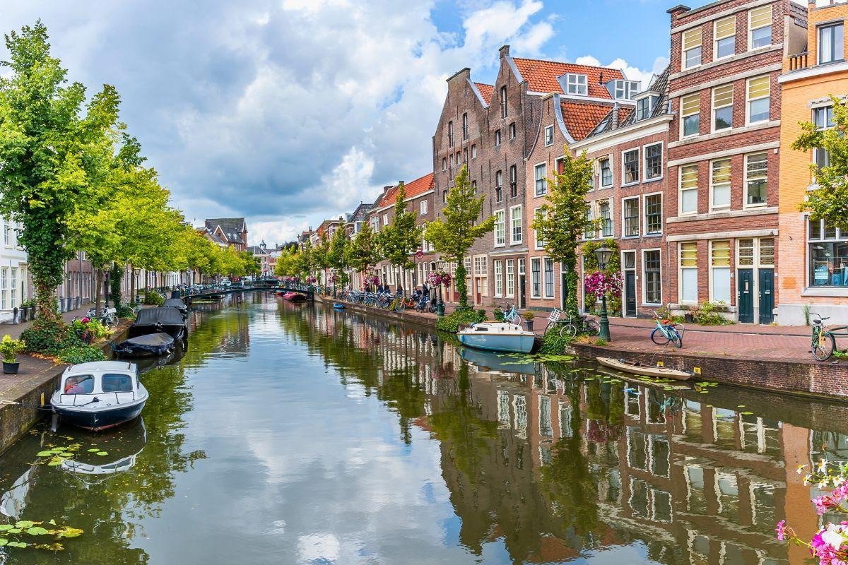 Nieuwe Rijn