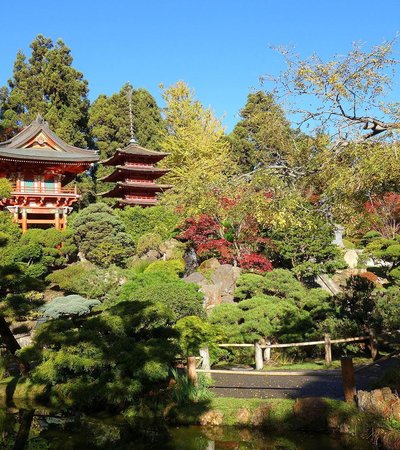 Japanese Tea Garden in San Francisco, California