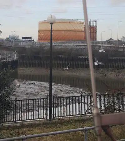 Bow Creek Ecology Park in London, England