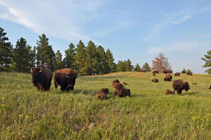 Custer, South Dakota