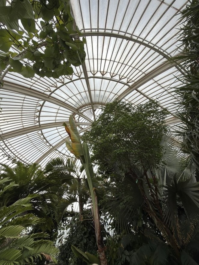 Royal Botanic Gardens, Kew WHS